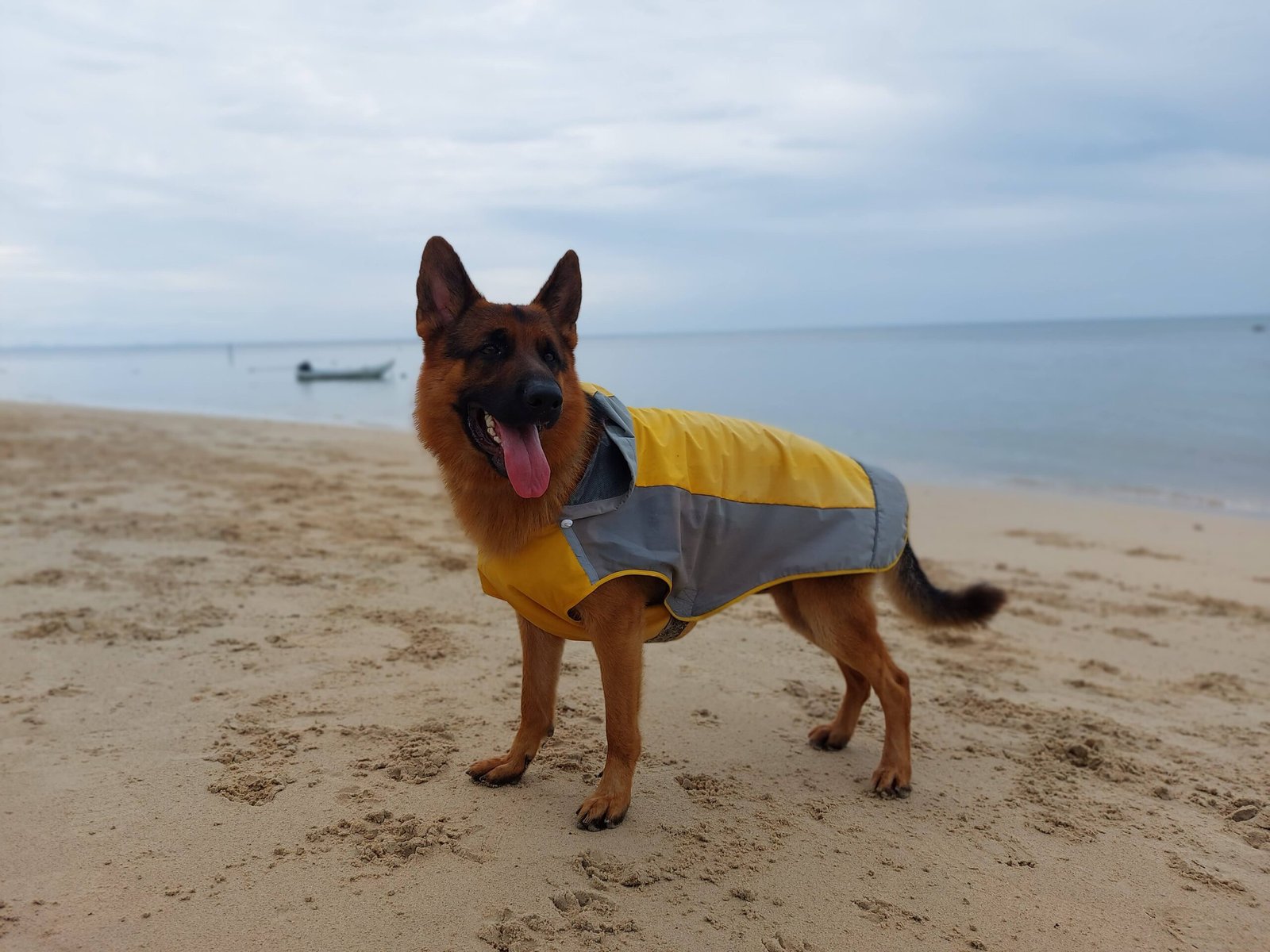 Hector walking on Bang Por Beach near Hector’s Restaurant & Bar in Koh Samui
